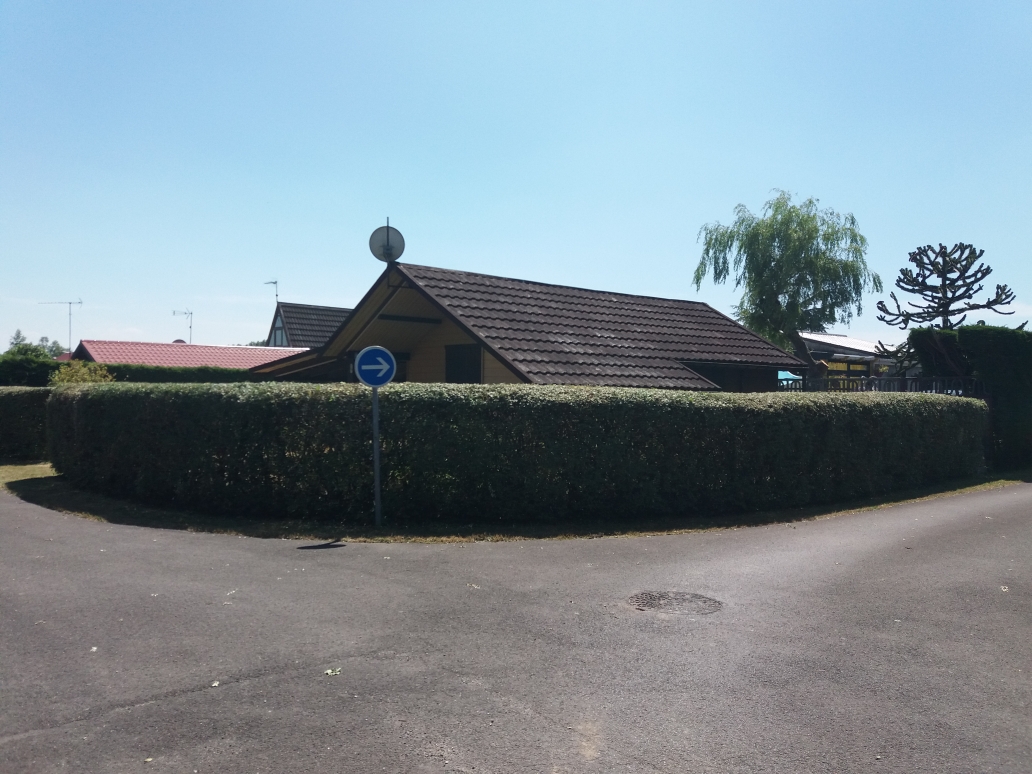 Taille – haie périmétrique résidentielle - Après