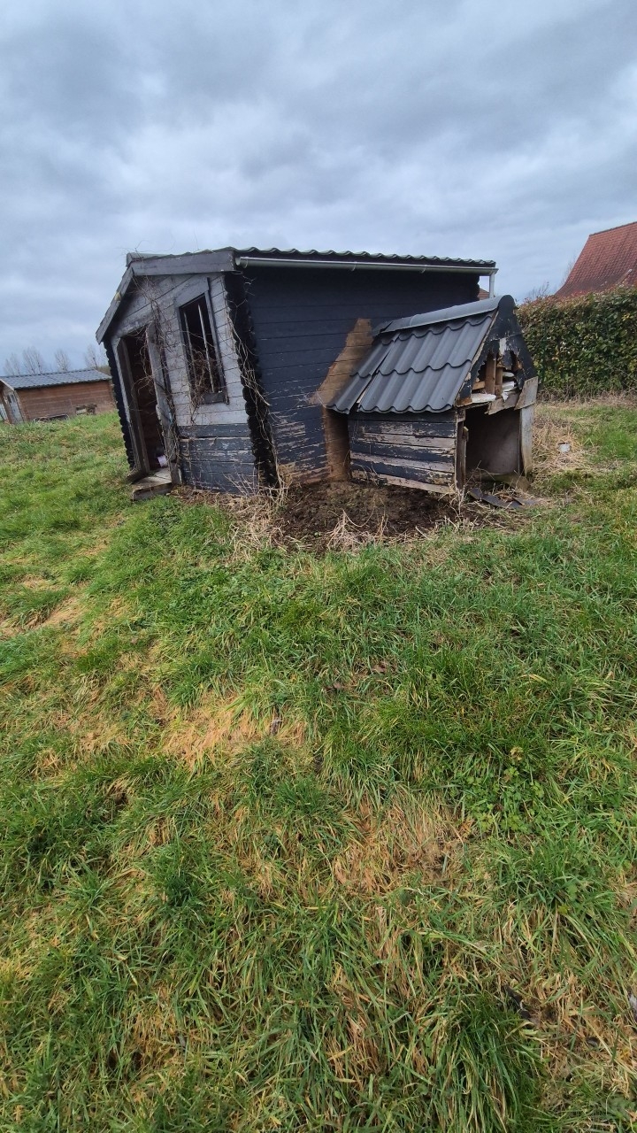 Transformation jardin - Image 2