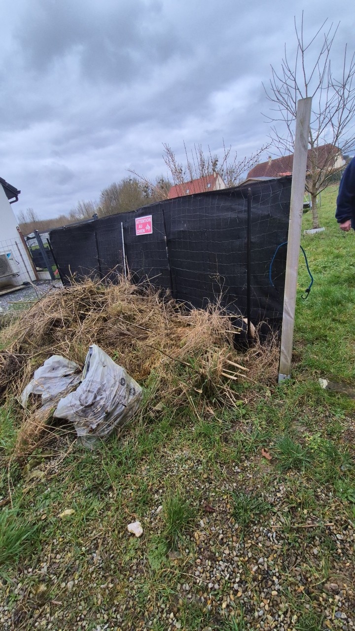 Transformation jardin - Image 3